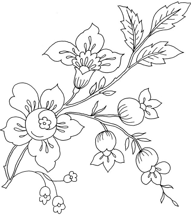 gambar sketsa bunga dan tangkai