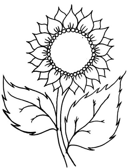 gambar sketsa bunga hd