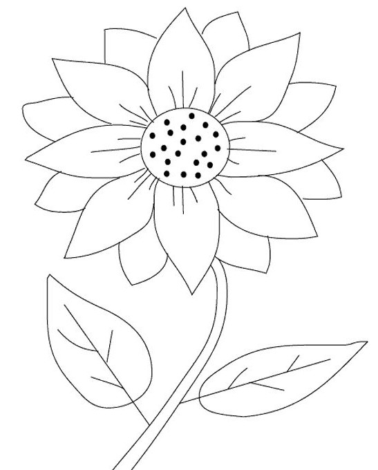 gambar sketsa bunga matahari mewarnai