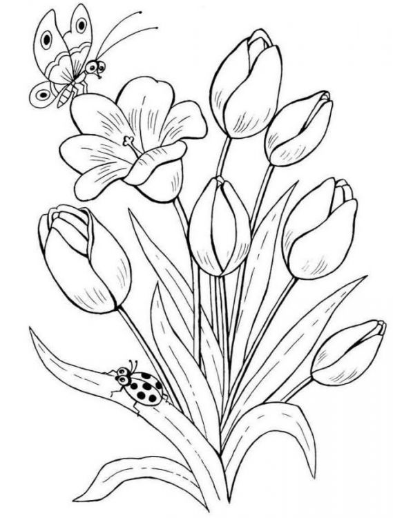 gambar sketsa bunga mewarnai