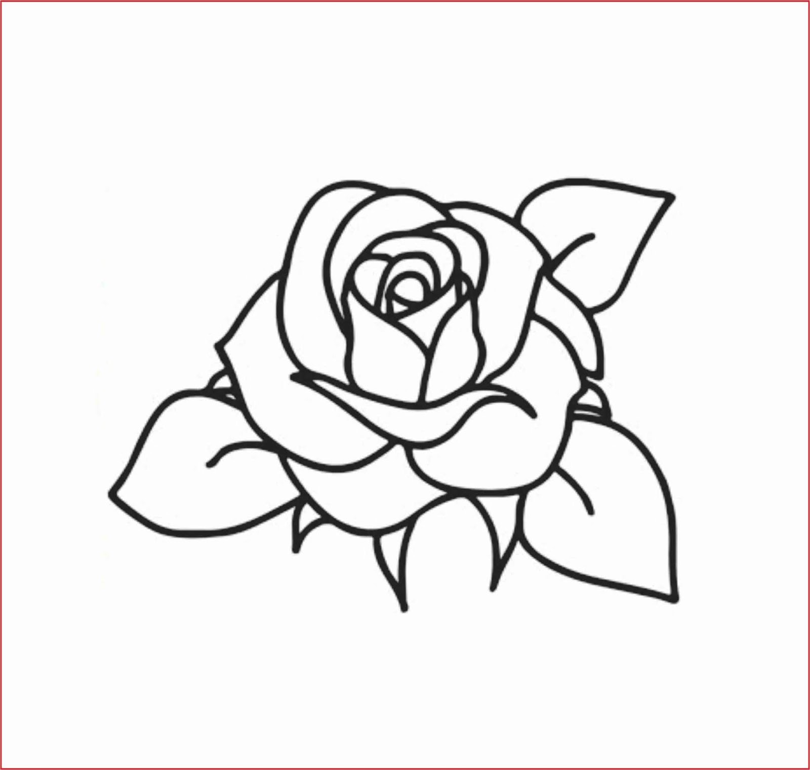 hd gambar sketsa bunga mawar