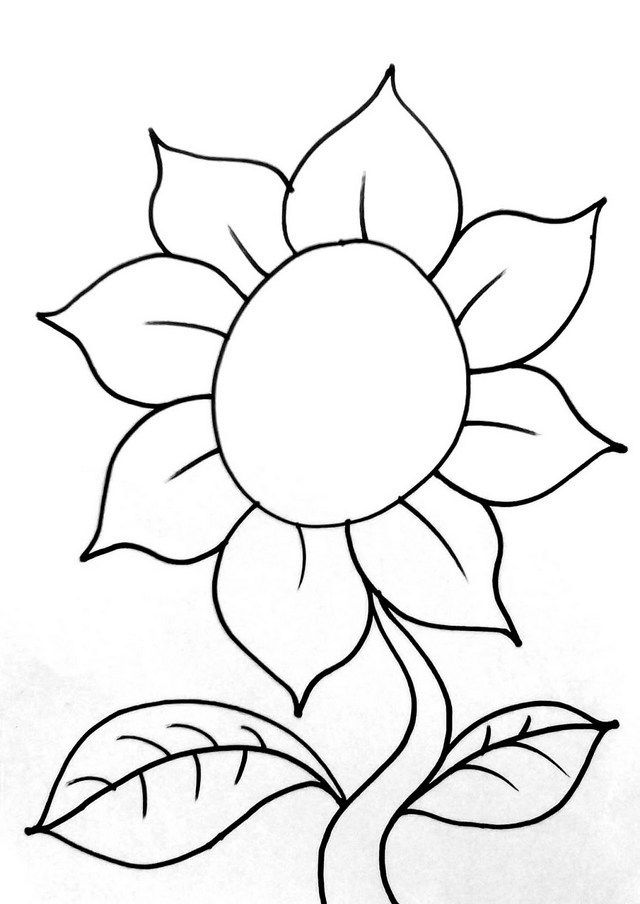 sketsa bunga matahari gambar