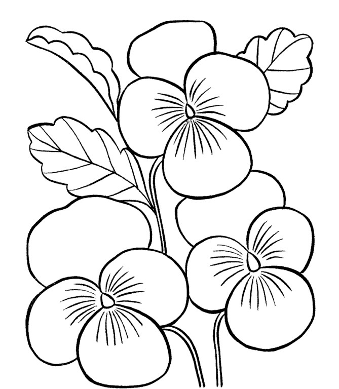 sketsa bunga untuk diwarnai