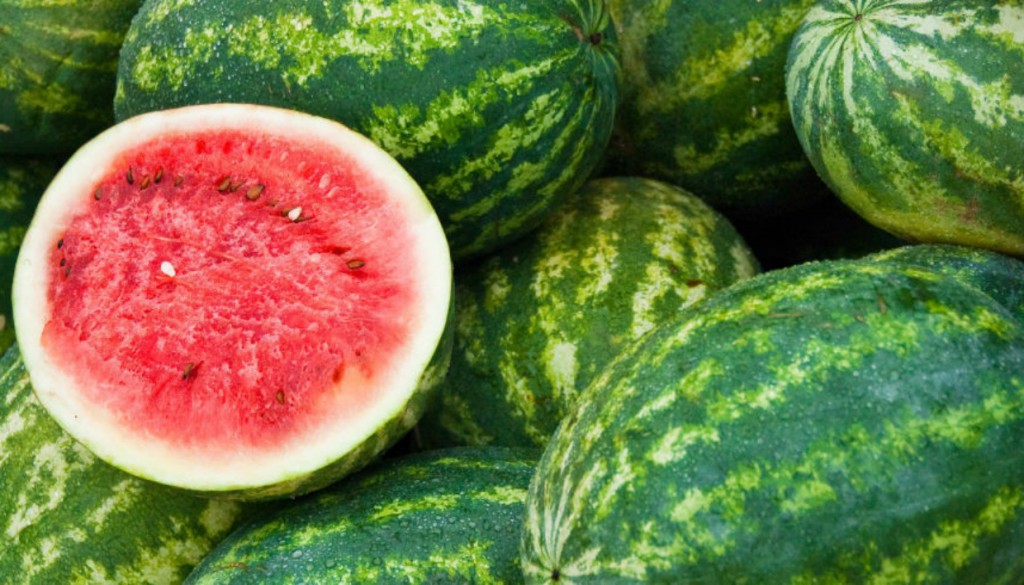 gambar buah semangka