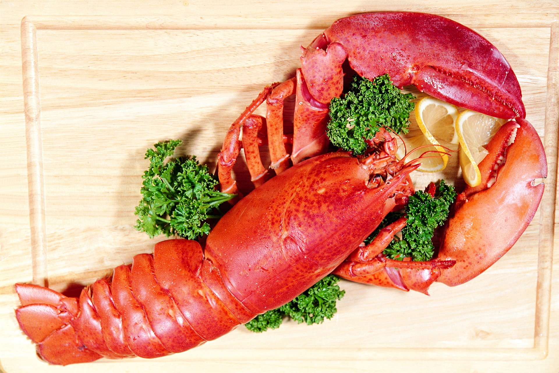 gambar lobster hd wallpaper