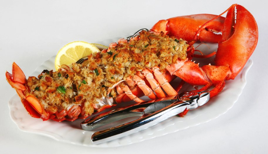 gambar sajian lobster