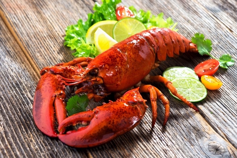 lezatnya daging lobster