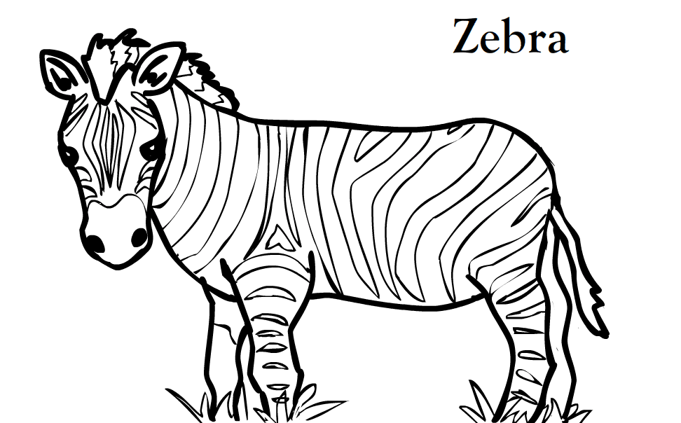 mewarnai gambar zebra