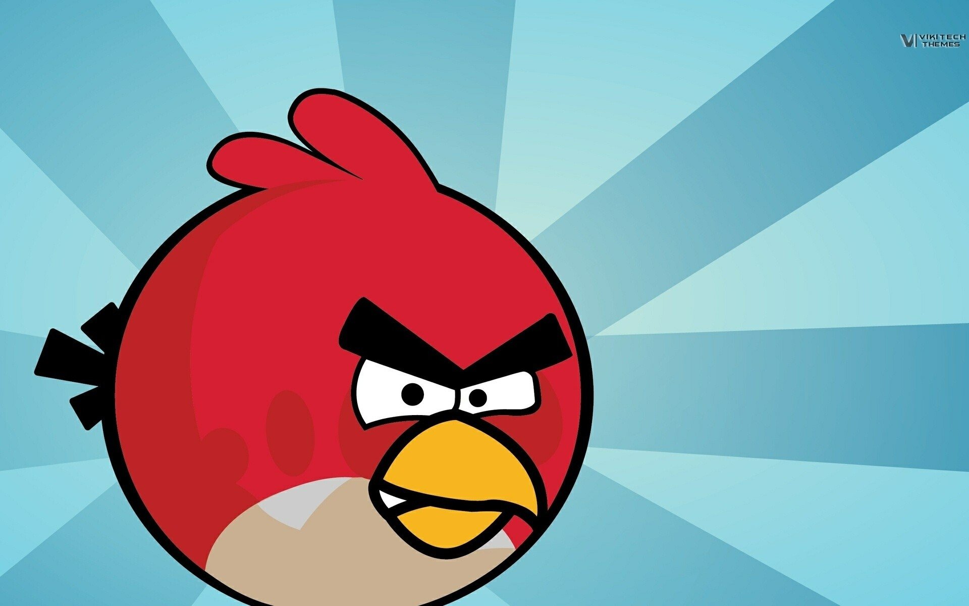 gambar angry bird wallpaper lucu