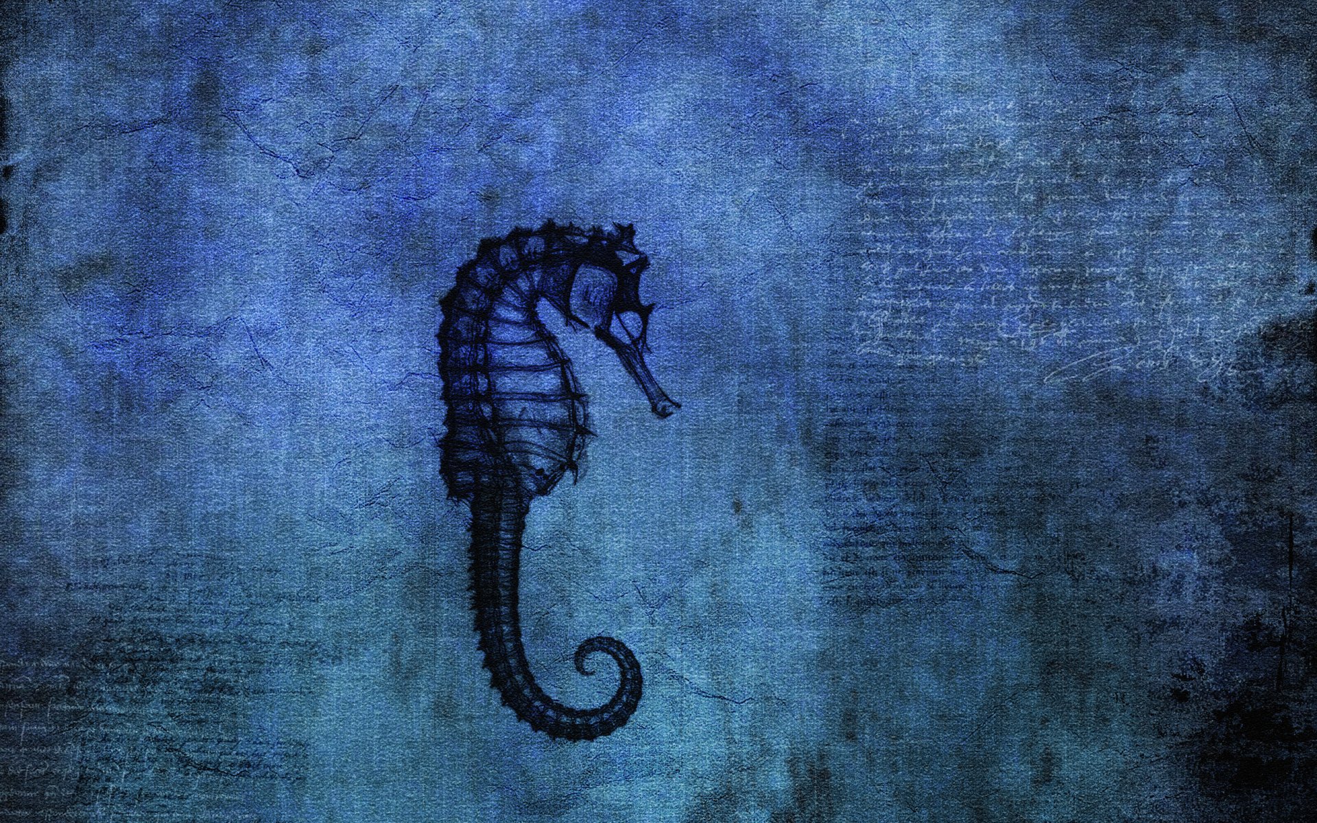 gambar kuda laut pensil