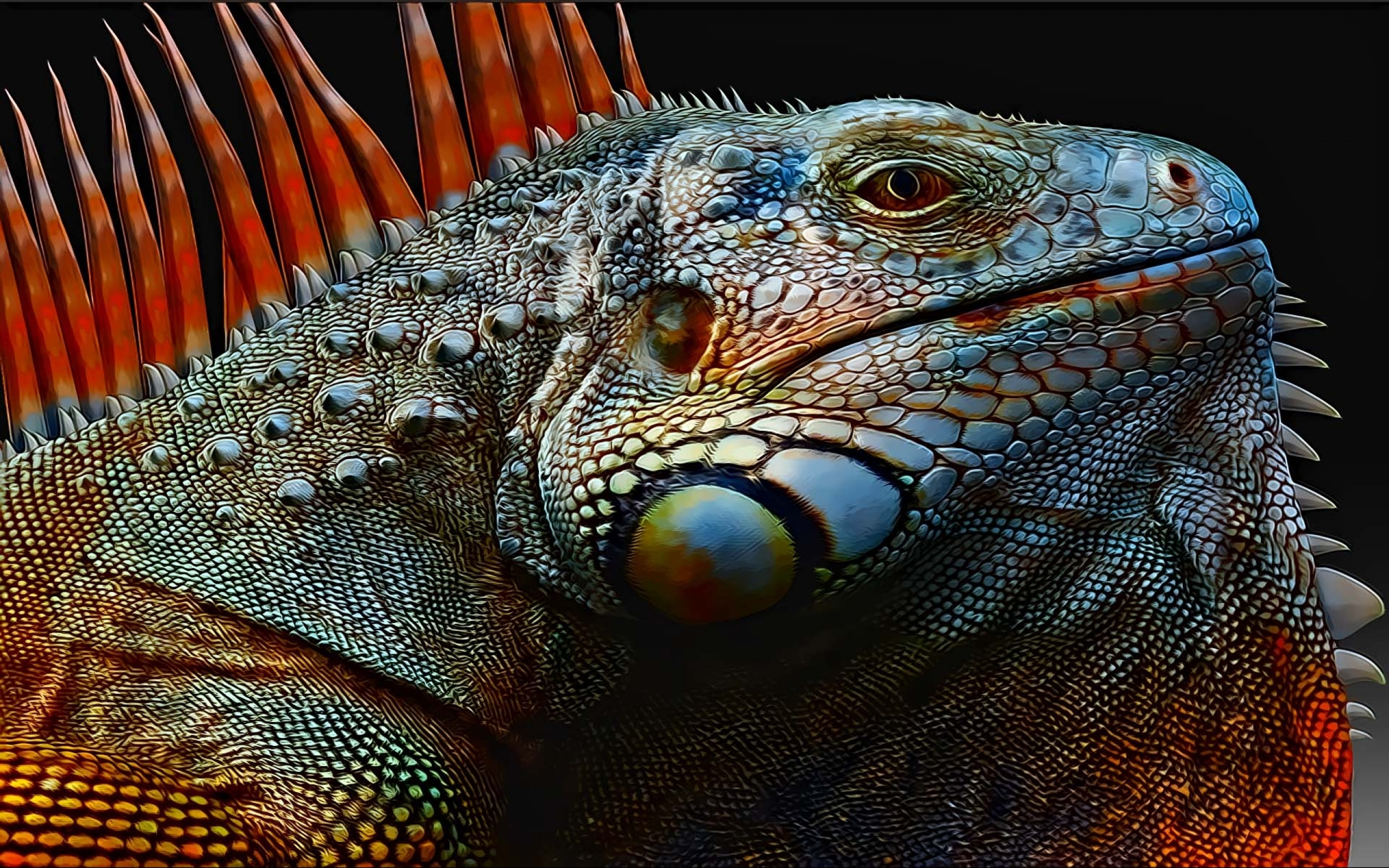gambar wallpaper iguana
