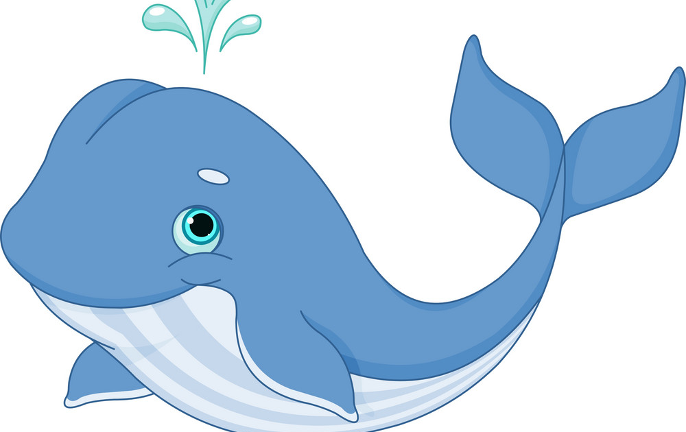 kartun gambar ikan paus