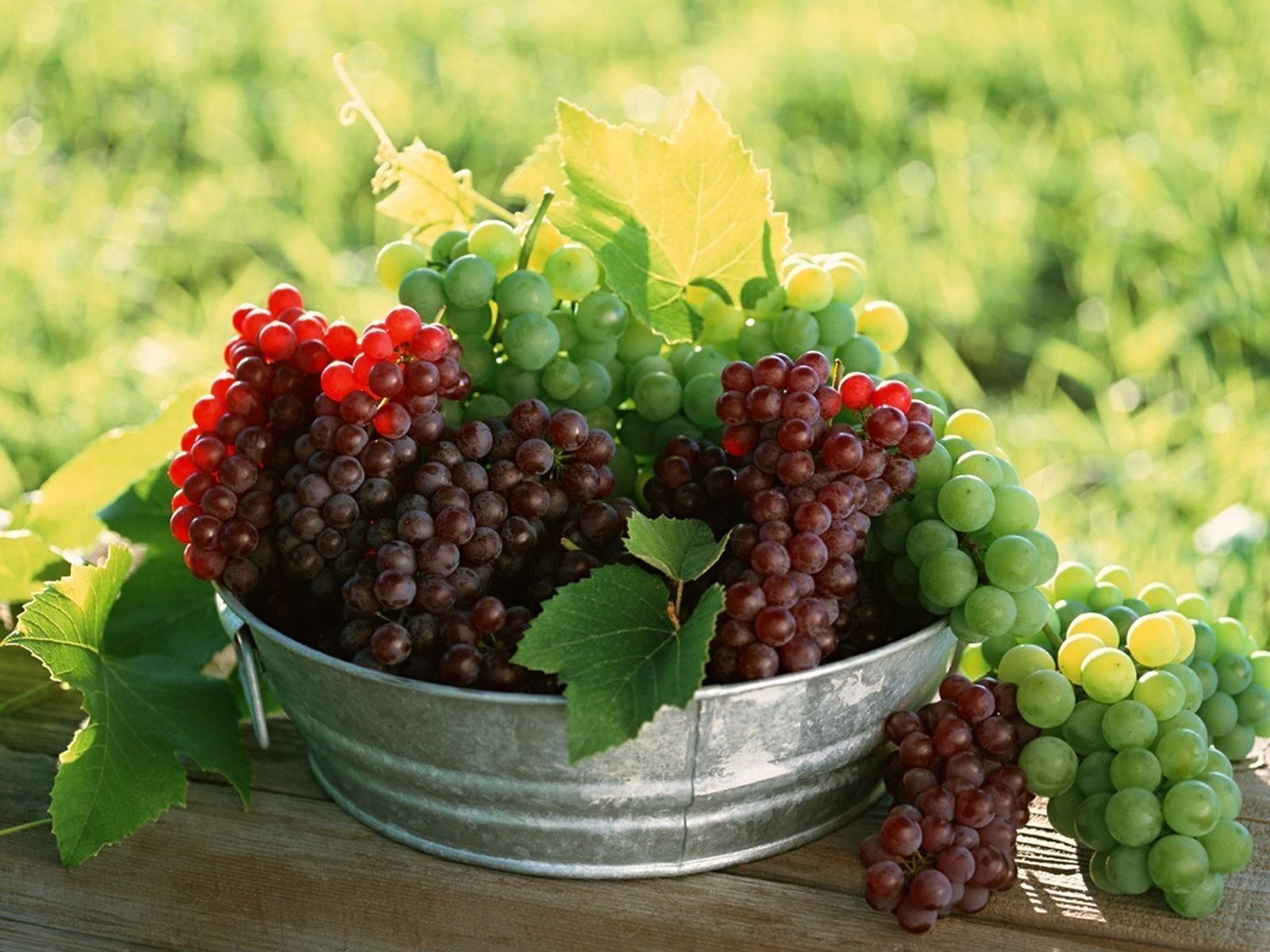 buah anggur gambar hd