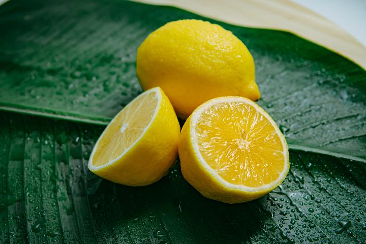 buah jeruk lemon gambar