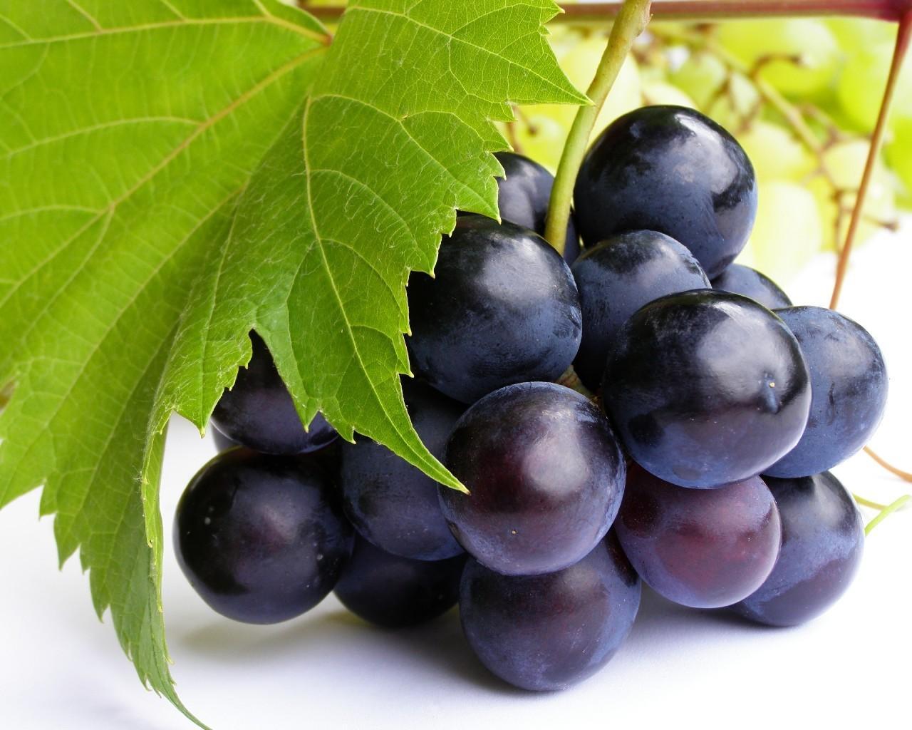 gambar anggur buah segar