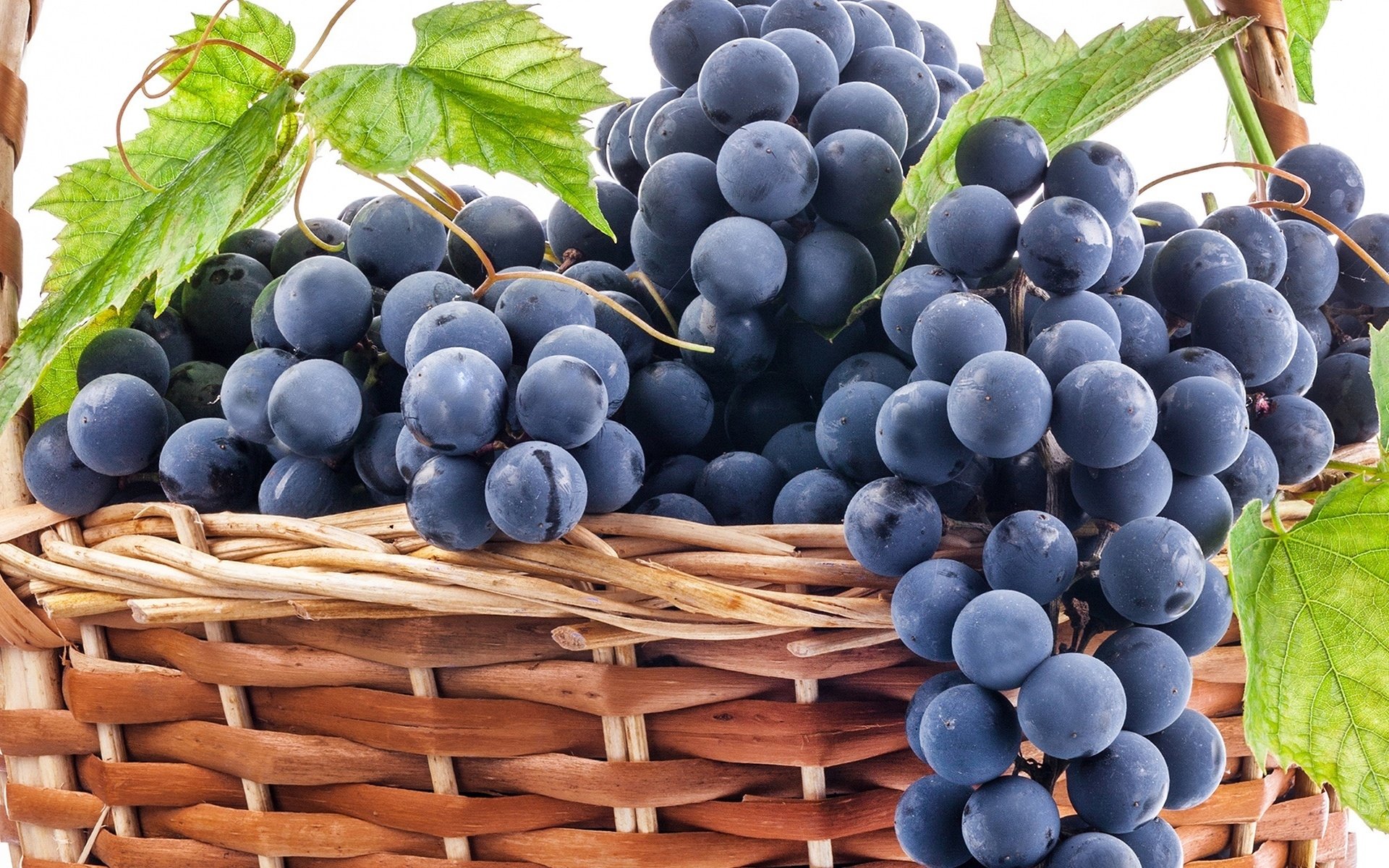 gambar buah anggur wallpaper