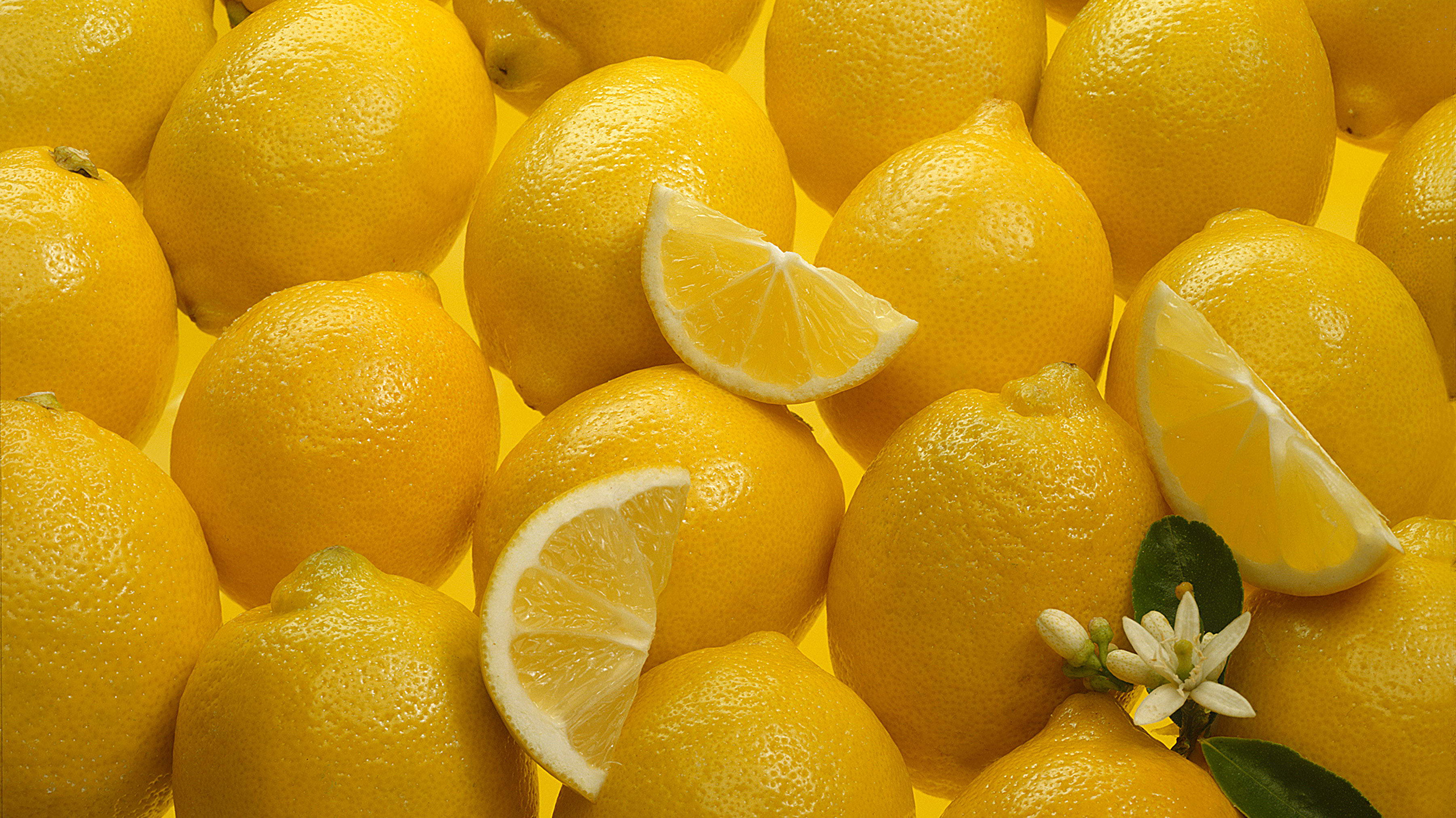 gambar buah lemon hd