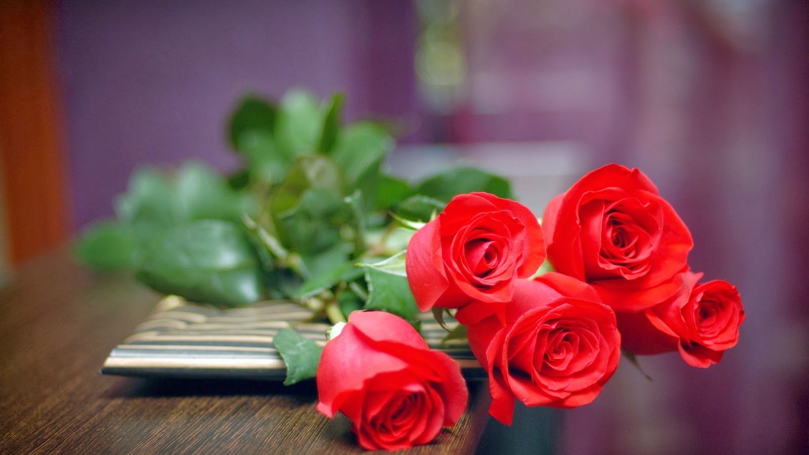 gambar bunga mawar merah wallpaper