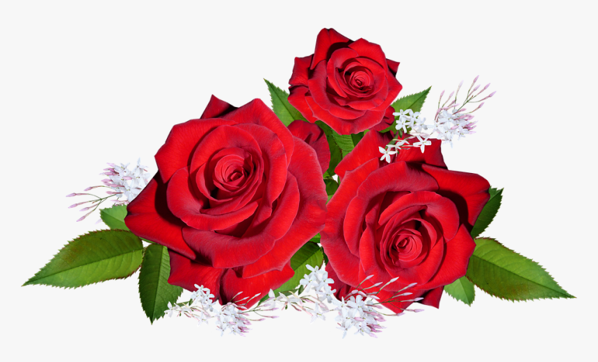 gambar bunga mawar wallpaper keren