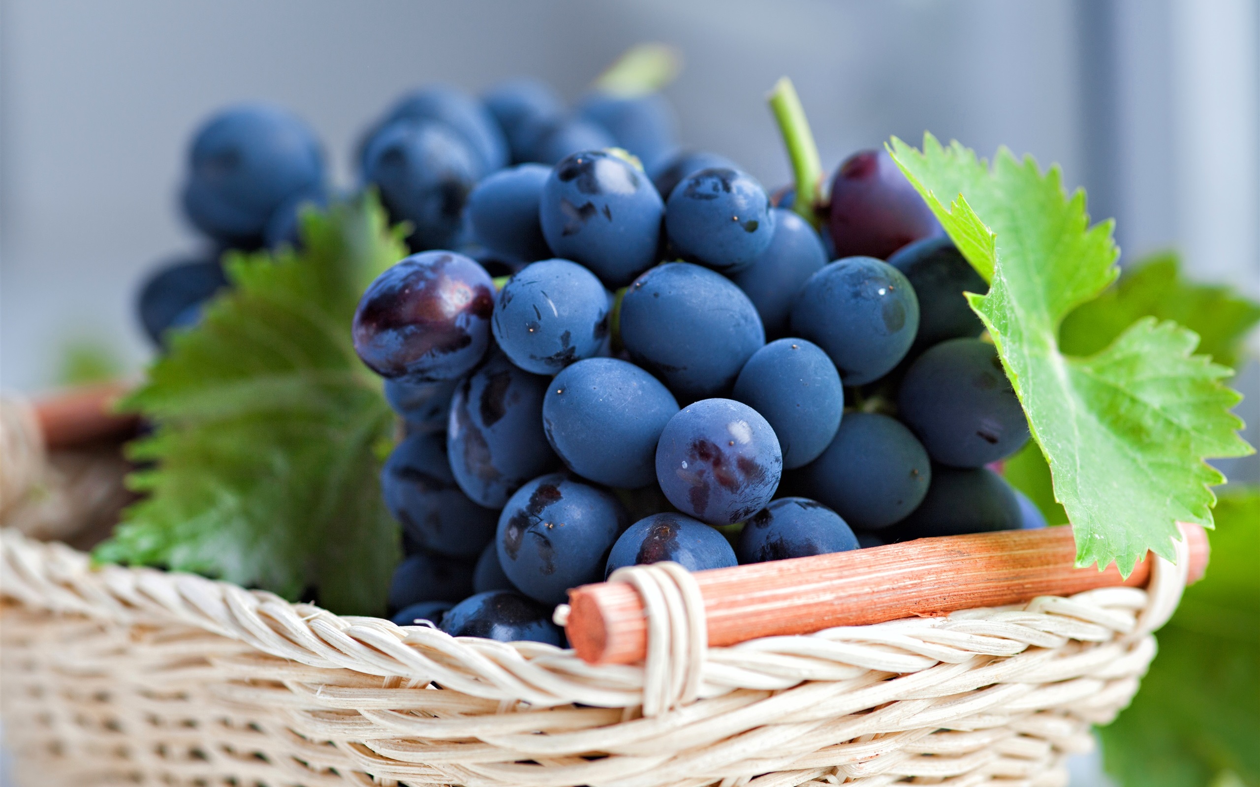 gambar segar buah anggur
