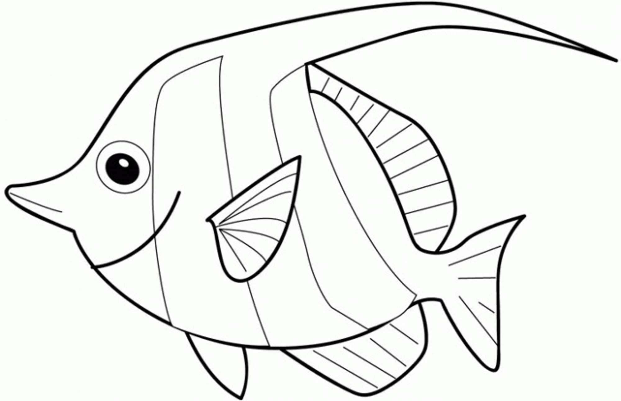 Contoh Gambar Sketsa Ikan