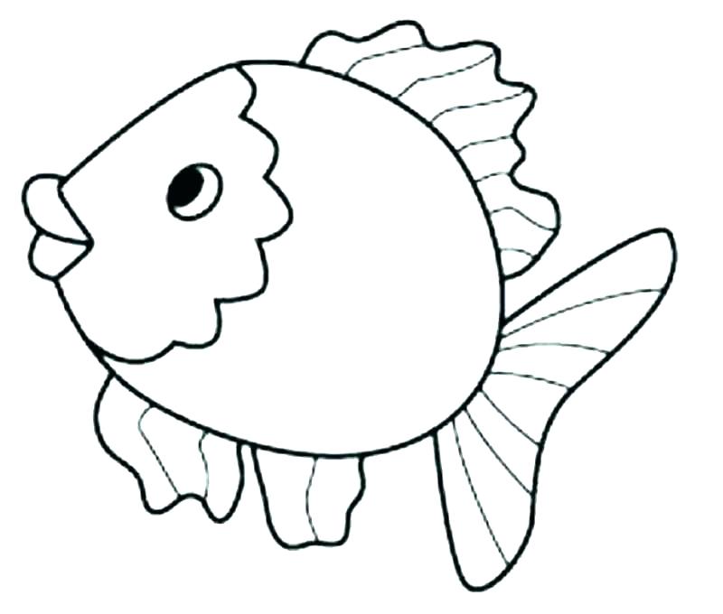 Gambar Sketsa Ikan Koki