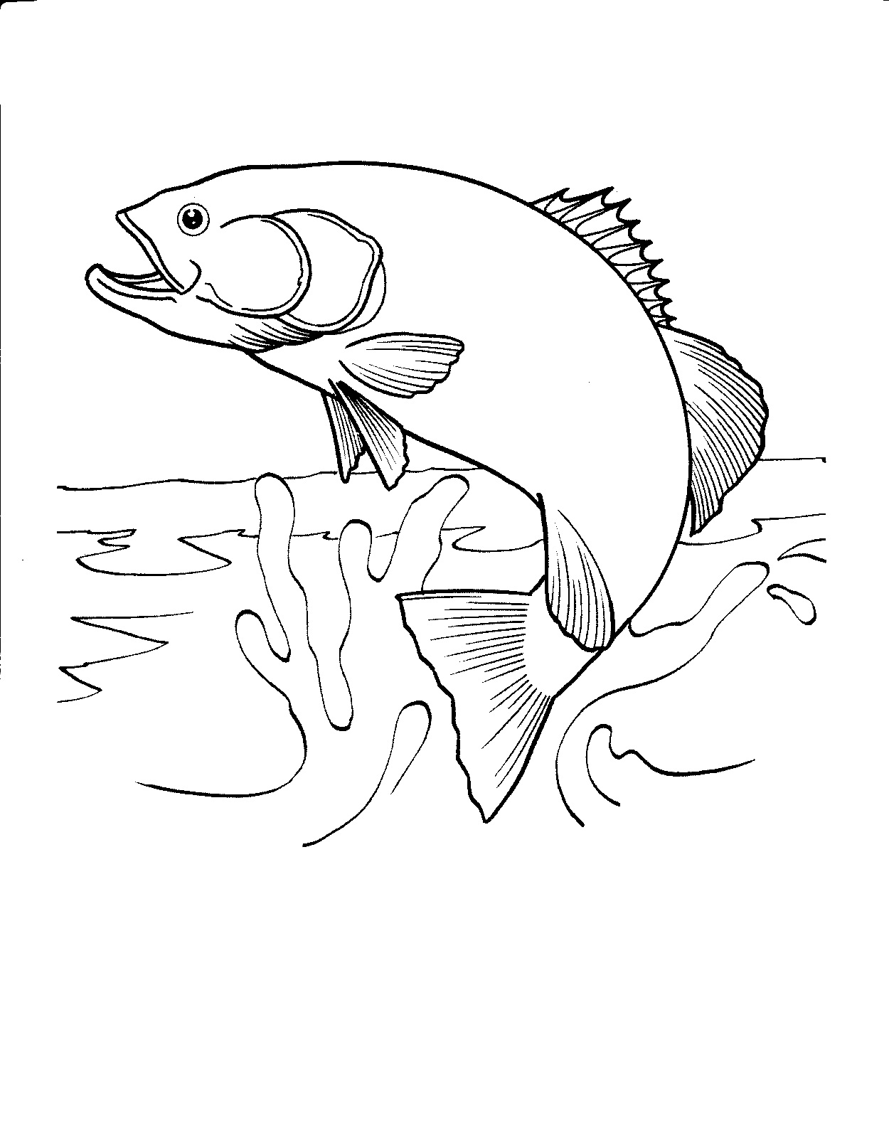 Gambar Sketsa Ikan Laut