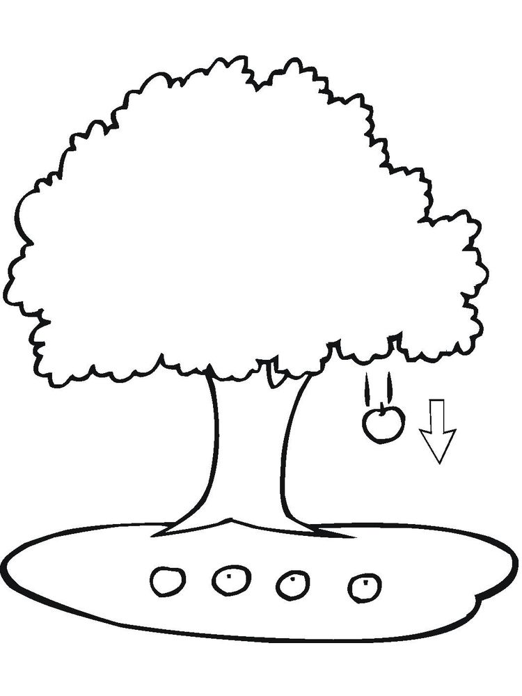 Gambar Sketsa Pohon Apel 1