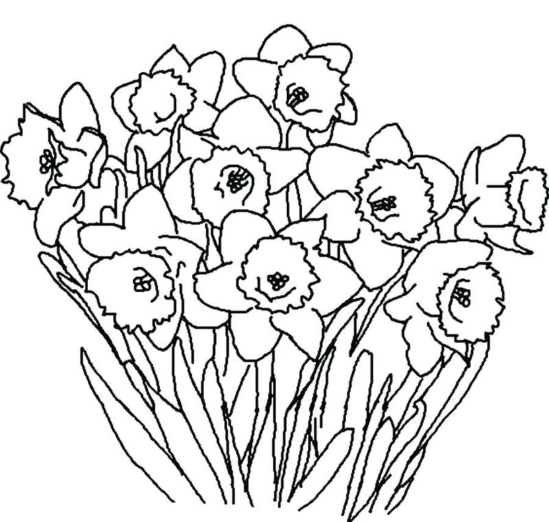 contoh gambar sketsa bunga sederhana