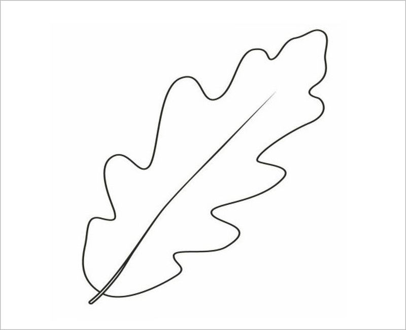 contoh gambar sketsa daun
