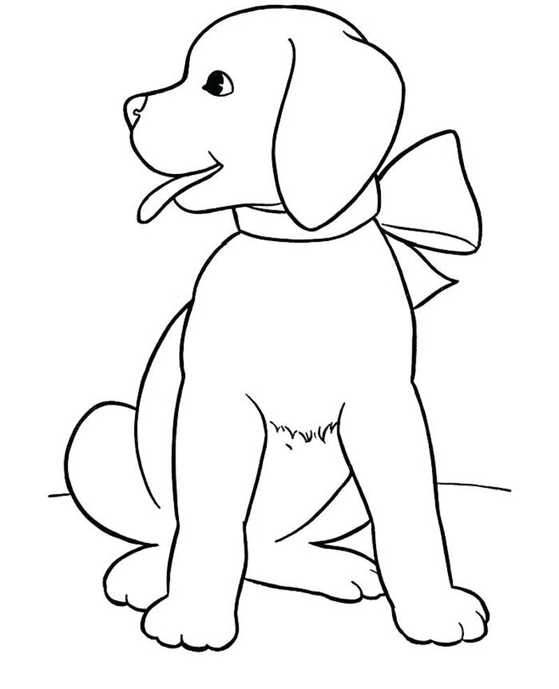 contoh gambar sketsa fauna anjing lucu