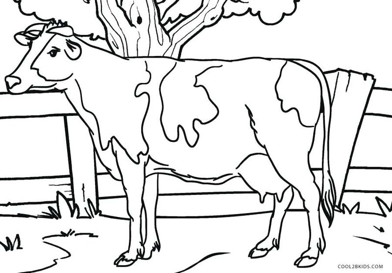 contoh gambar sketsa sapi