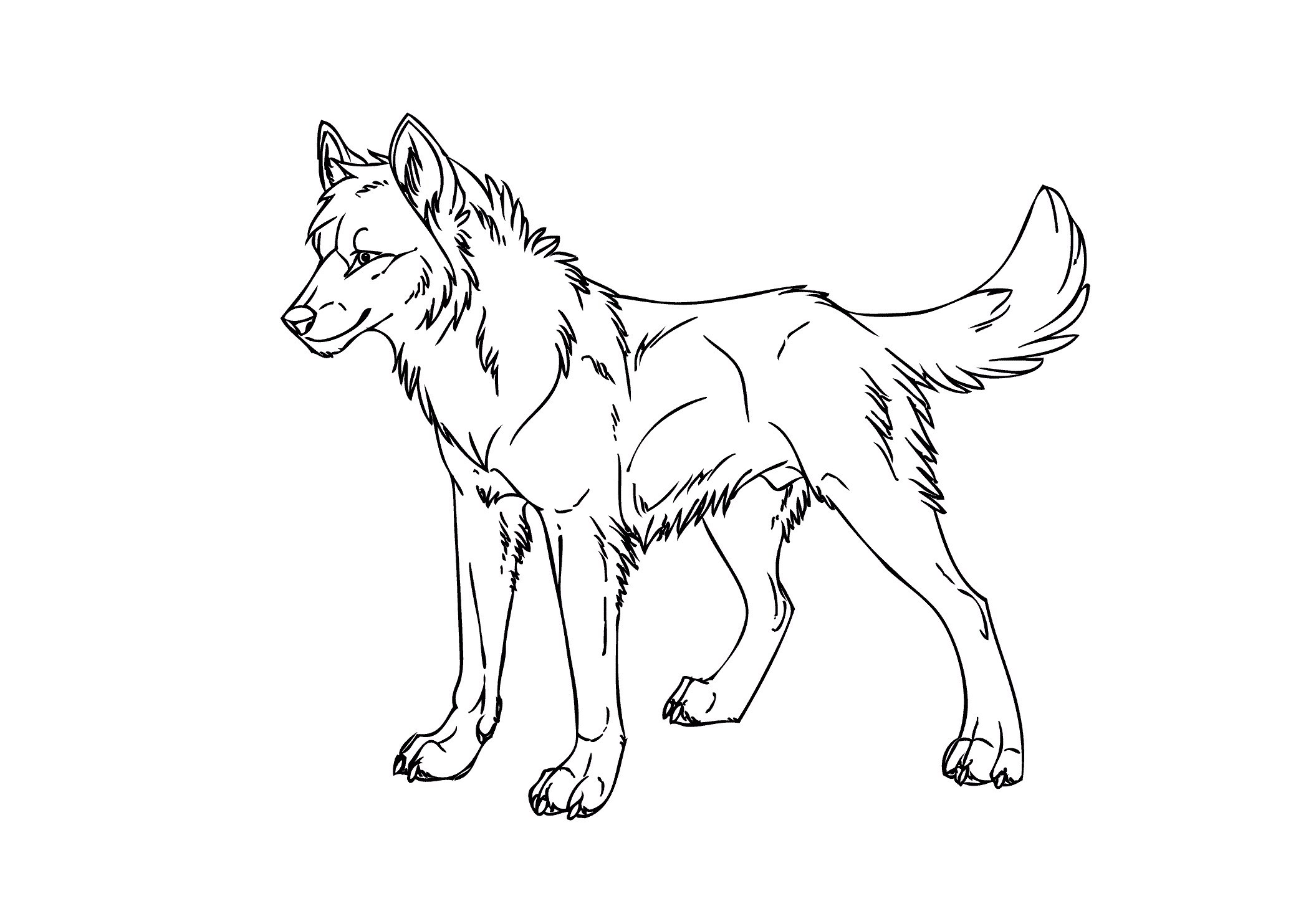 contoh gambar sketsa serigala