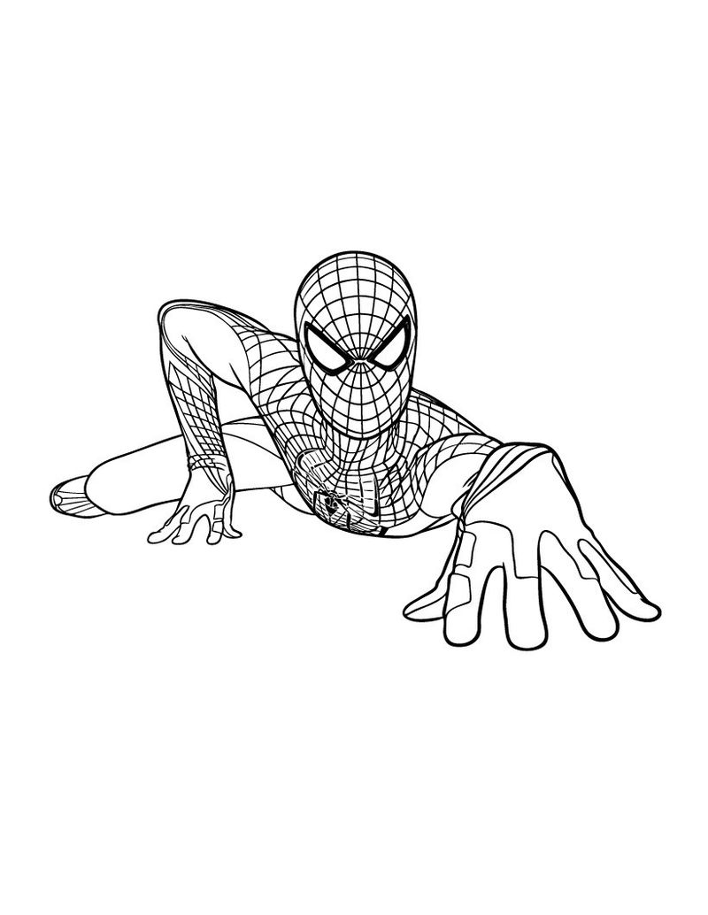contoh gambar sketsa spiderman