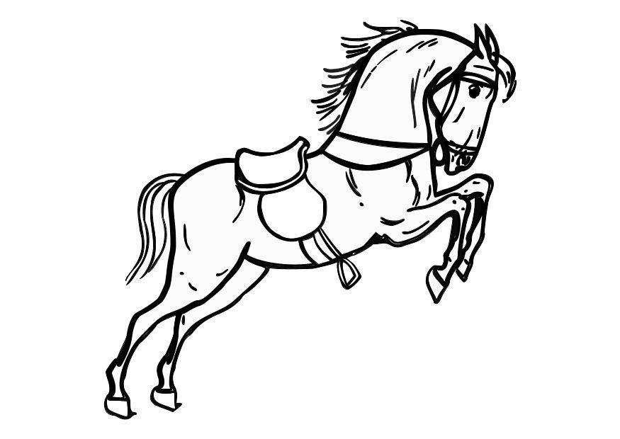 contoh hd gambar sketsa kuda