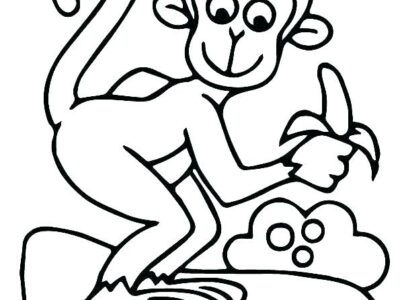 contoh hd gambar sketsa monyet