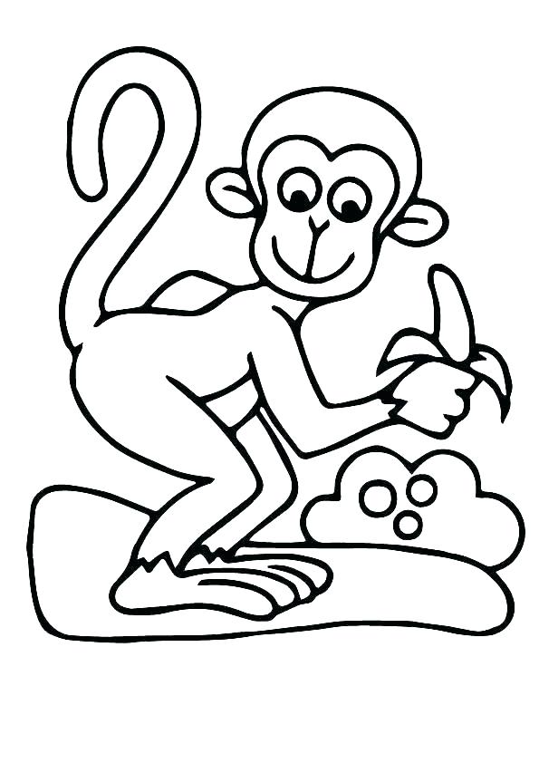 contoh hd gambar sketsa monyet