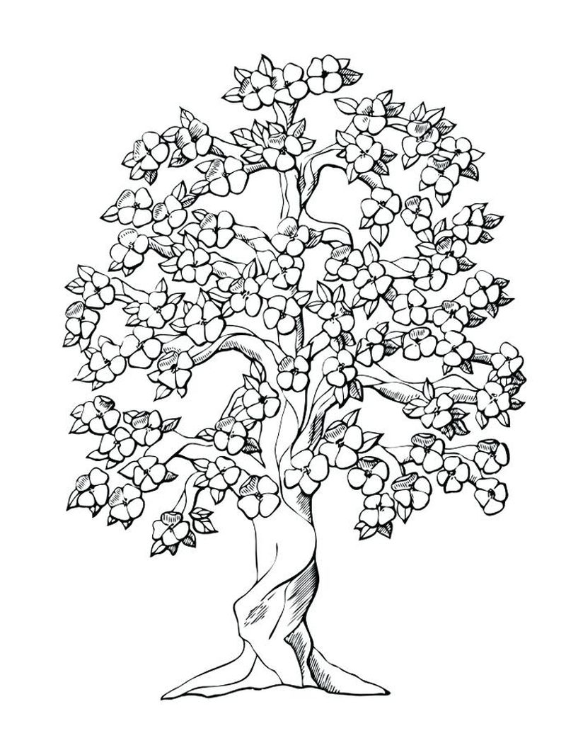 contoh hd gambar sketsa pohon