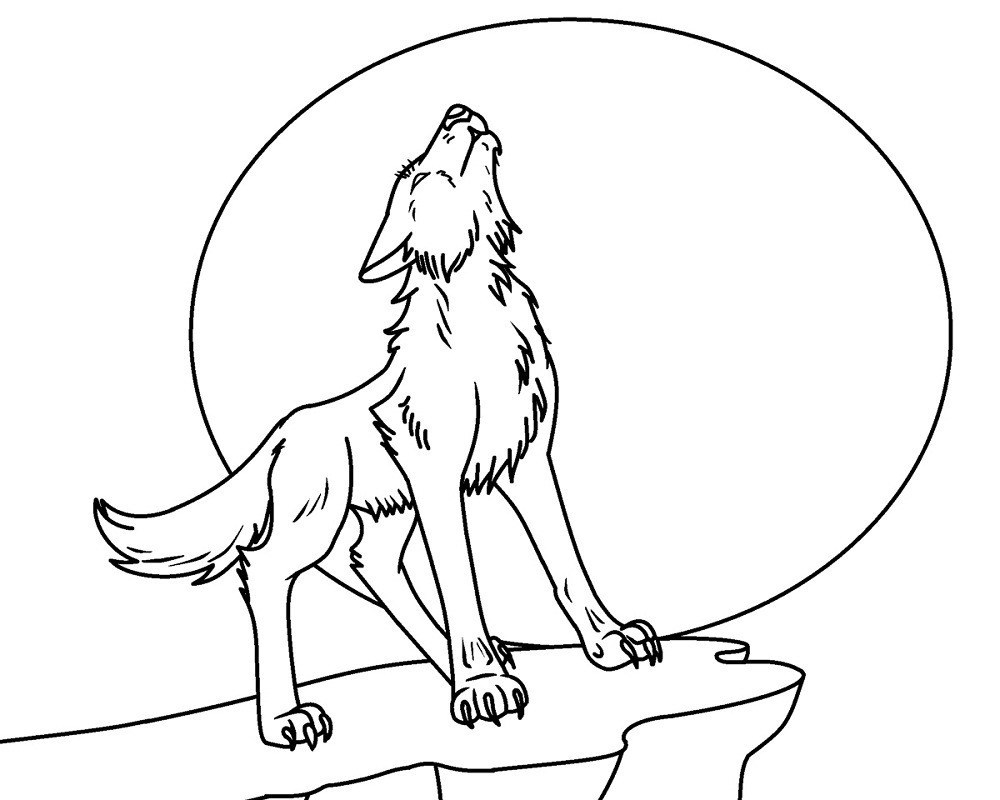 contoh hd gambar sketsa serigala