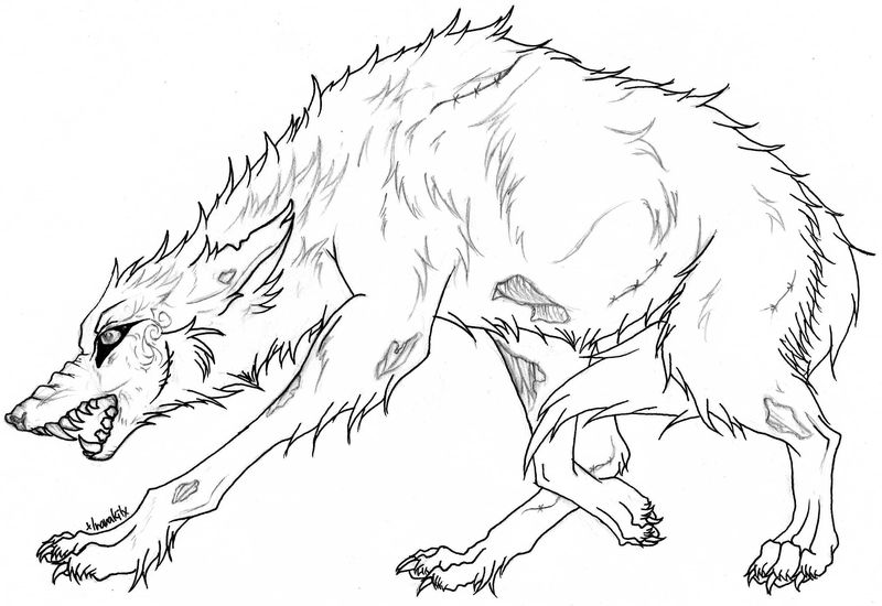 contoh hd sketsa serigala