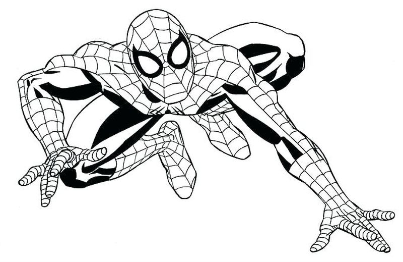 contoh hd sketsa spiderman