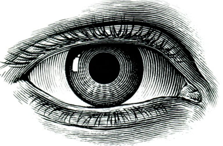 contoh sketsa mata