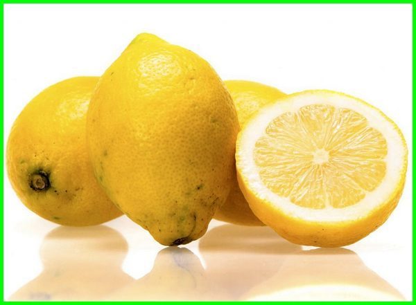 gambar jeruk Lemon Femminello