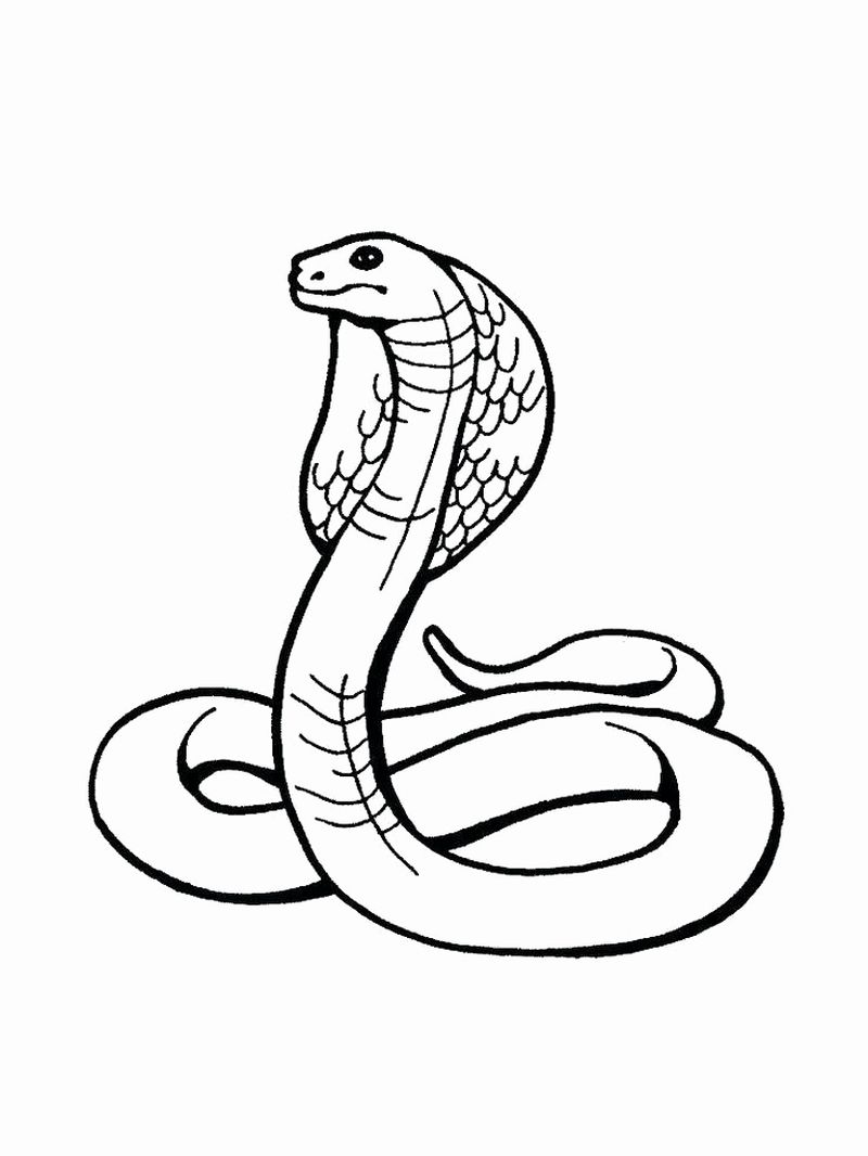 gambar mewarnai sketsa ular