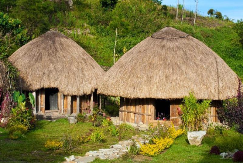 gambar rumah adat papua tradisional