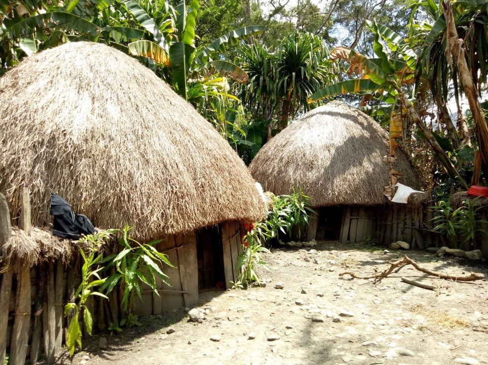 gambar rumah tradisional adat papua