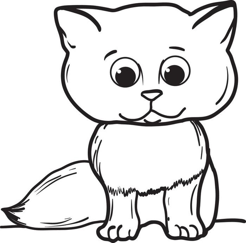 gambar sketsa anak kucing kucu