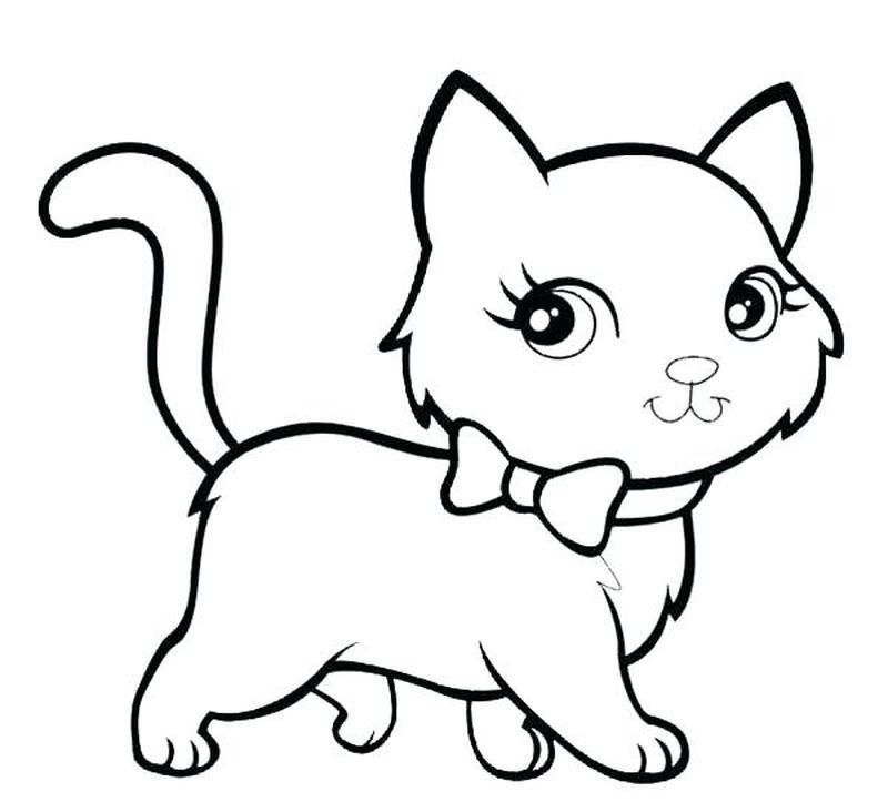 gambar sketsa anak kucing