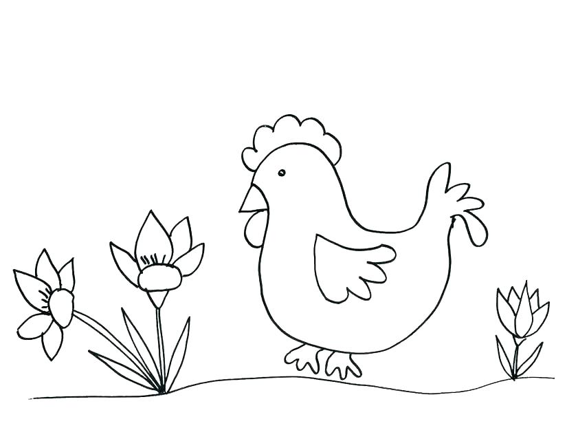 gambar sketsa ayam kartun