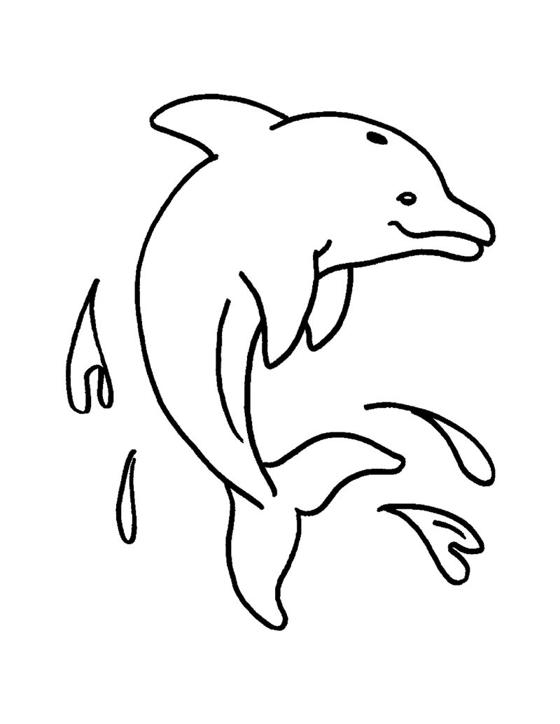 gambar sketsa binatang lumba lumba